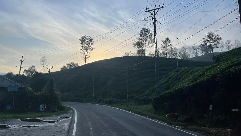 Green Ridge Munnar Hotel