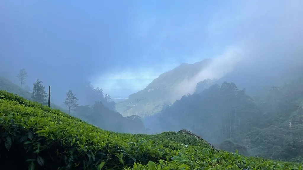 Green Ridge Munnar Hotel