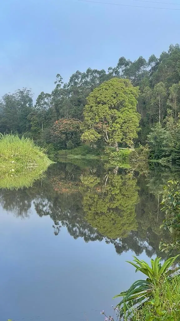 Green Ridge Munnar Hotel