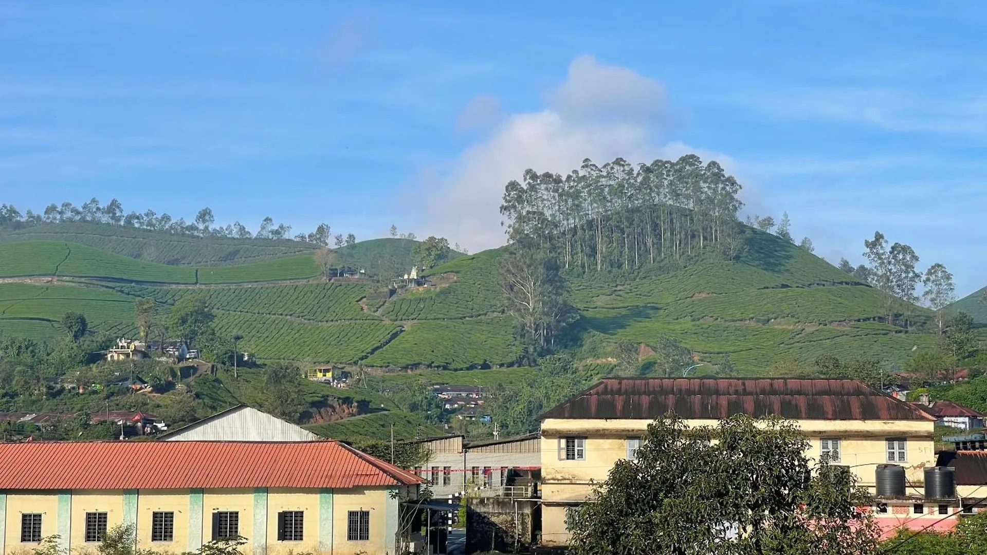 Green Ridge Munnar Hotel